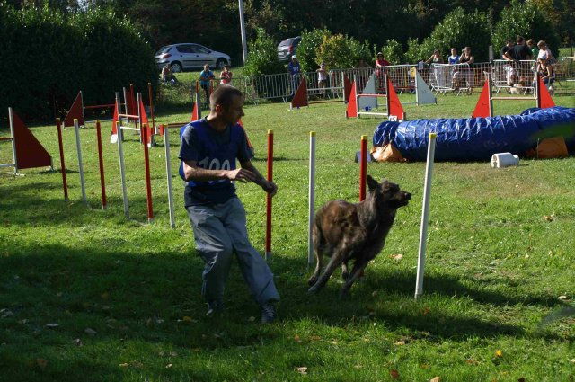 agility verriere 2011-10-01